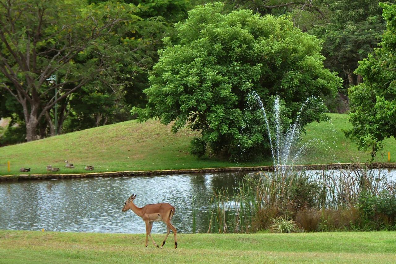 Kruger Park Lodge Unit No. 608A Hazyview Esterno foto
